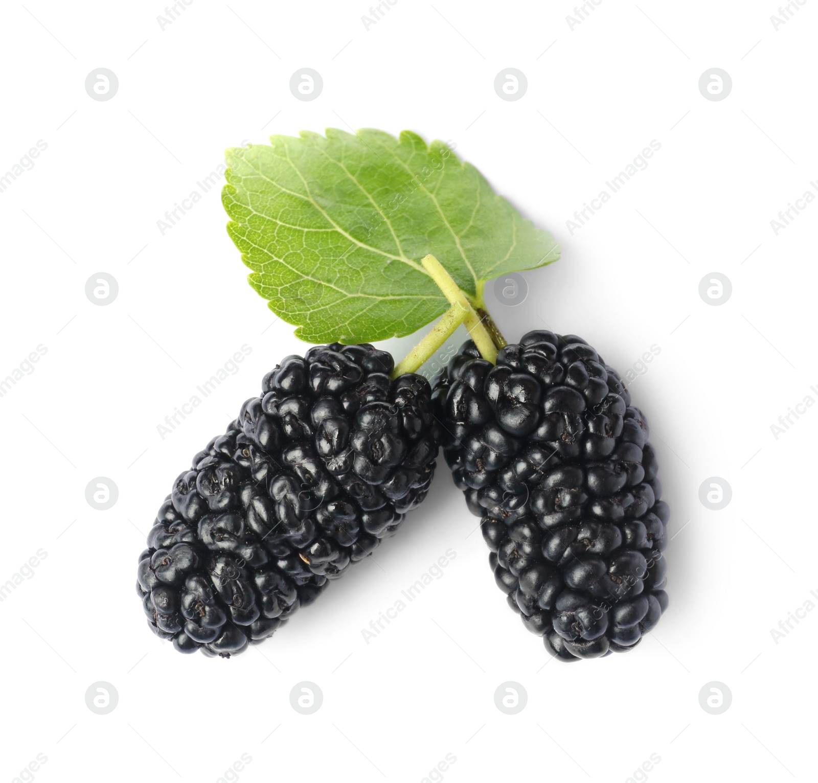 Photo of Two black mulberries with leaf on white background, top view