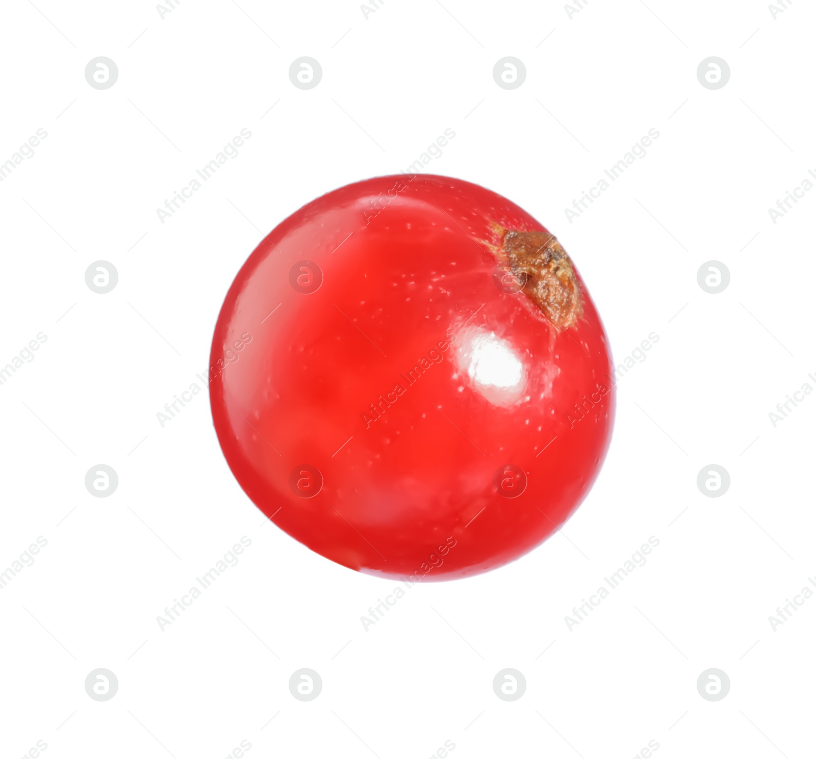 Photo of One ripe red currant isolated on white
