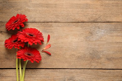 Beautiful bright gerbera flowers on wooden background, flat lay. Space for text