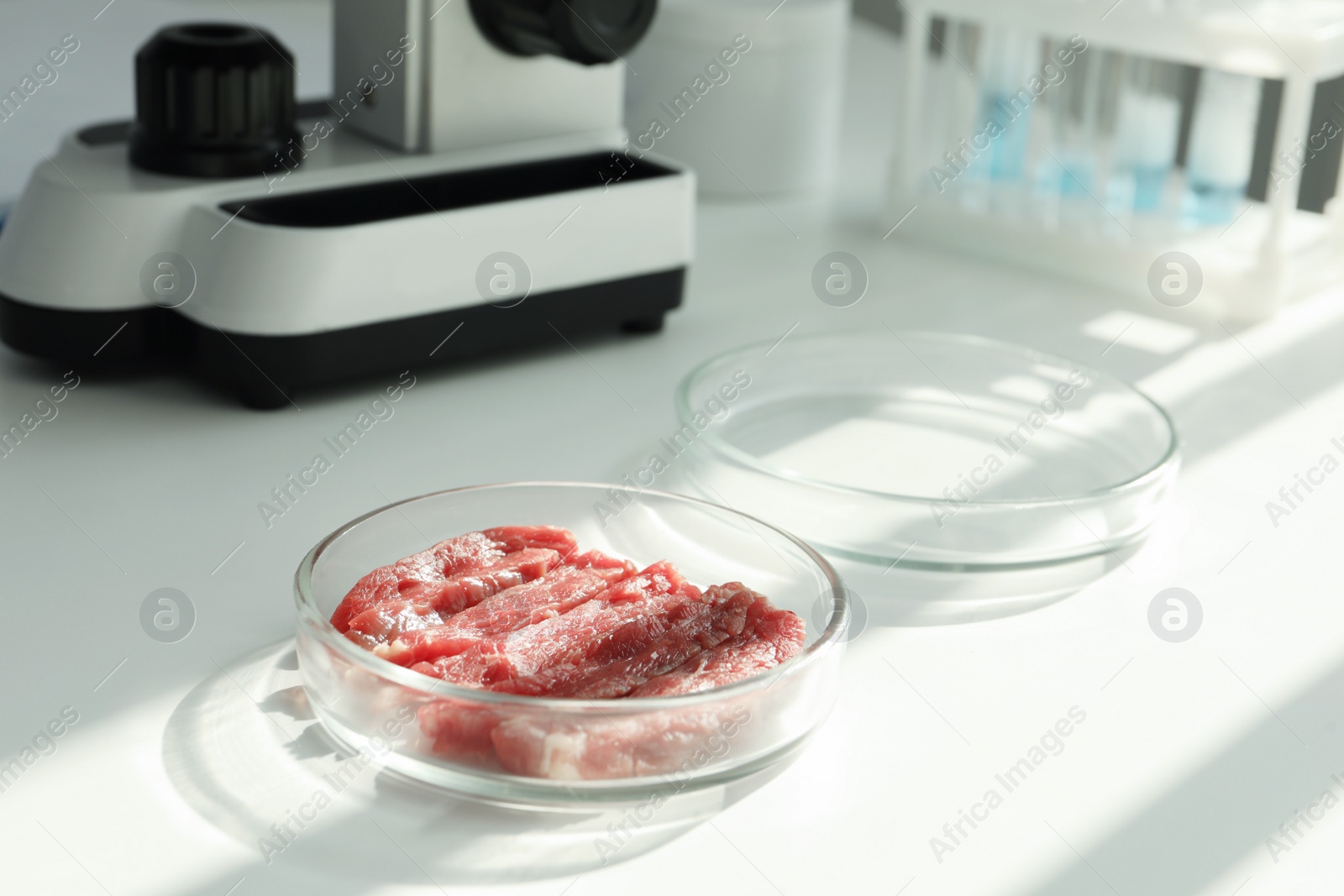 Photo of Petri dish with pieces of raw cultured meat on white table in laboratory, space for text