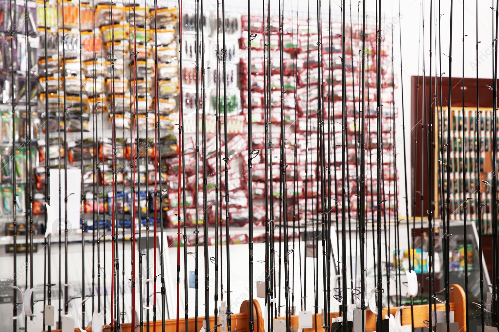 Photo of Stand with different fishing rods in sports shop