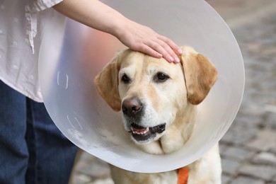 Woman petting her adorable Labrador Retriever dog in Elizabethan collar outdoors, closeup