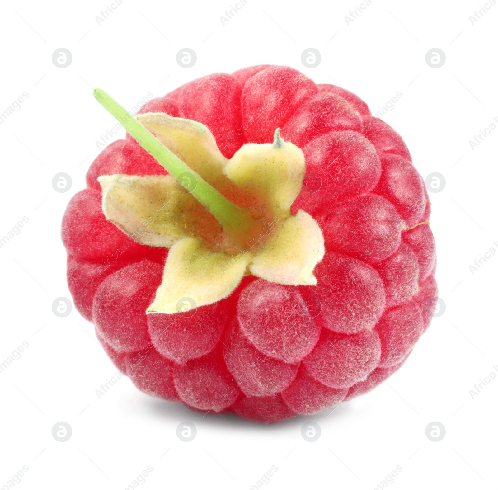 Photo of One tasty ripe raspberry isolated on white