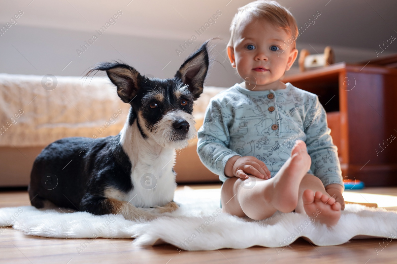 Photo of Adorable baby and cute dog on faux fur rug at home