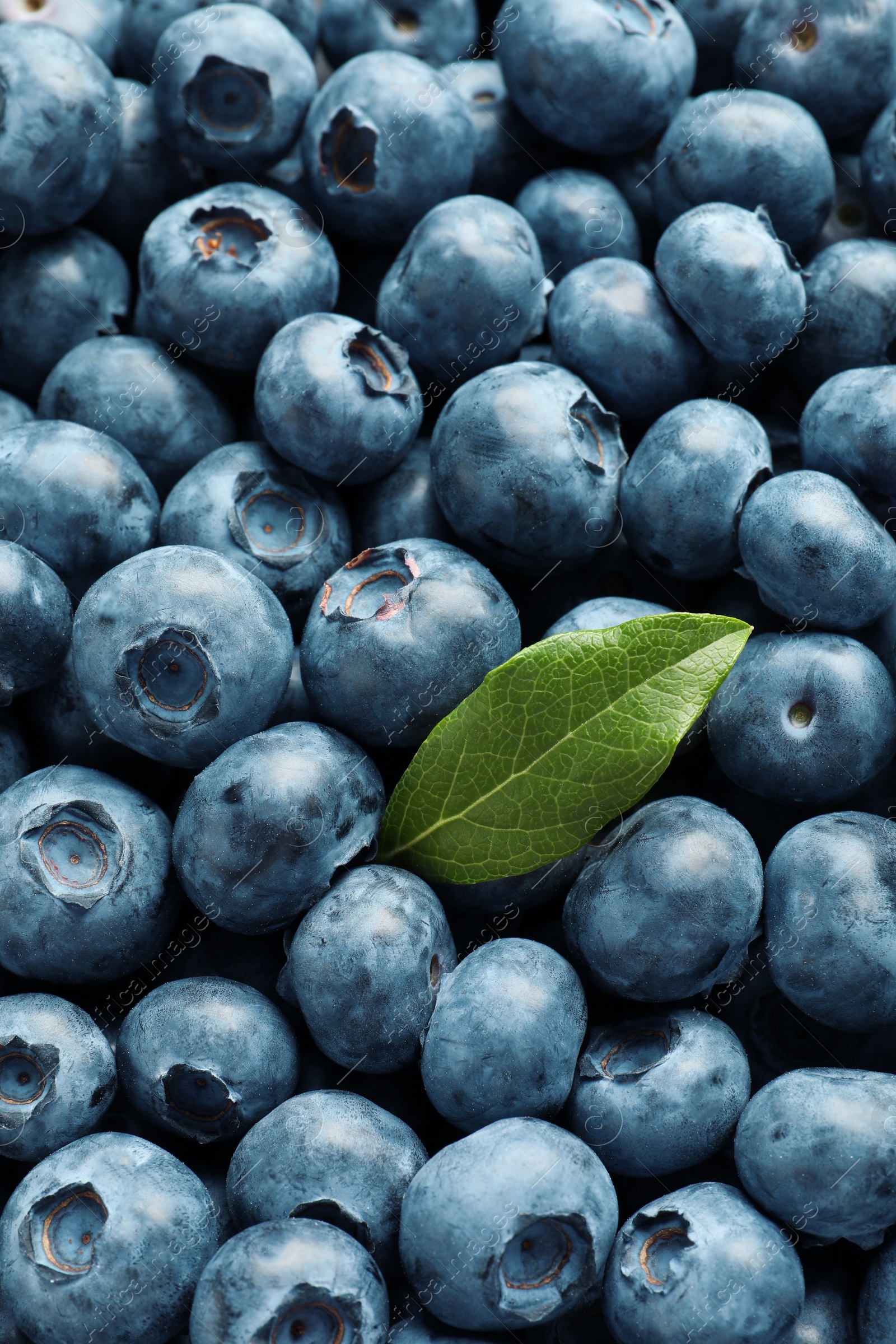 Photo of Tasty fresh blueberries with green leaf as background, top view