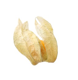 Ripe physalis fruit with calyx isolated on white