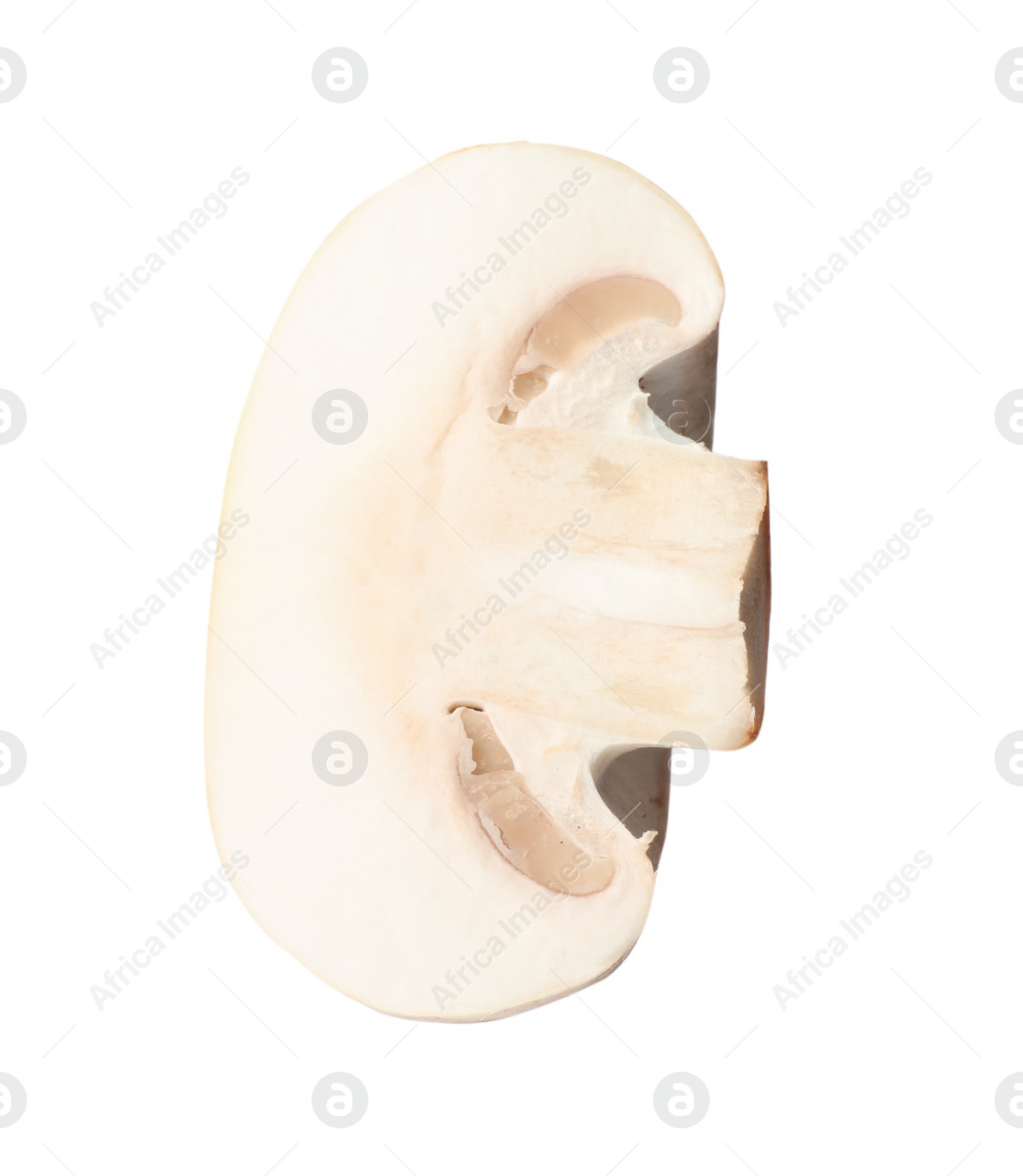 Photo of Piece of fresh mushroom on white background