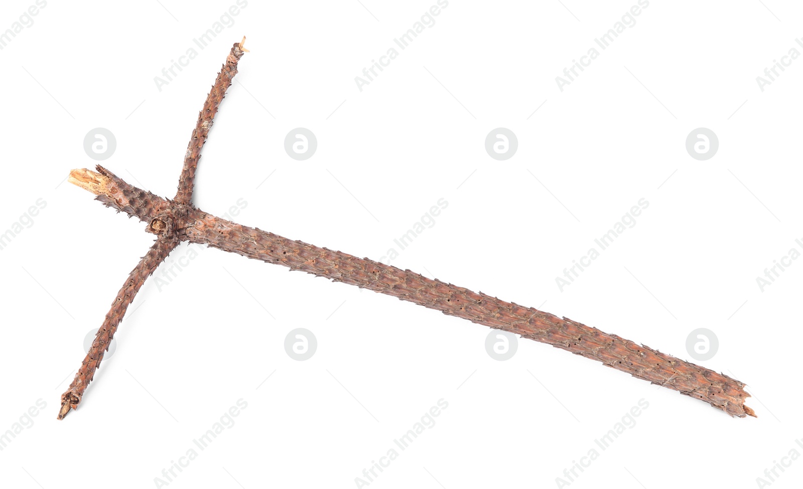 Photo of One dry tree twig isolated on white, top view