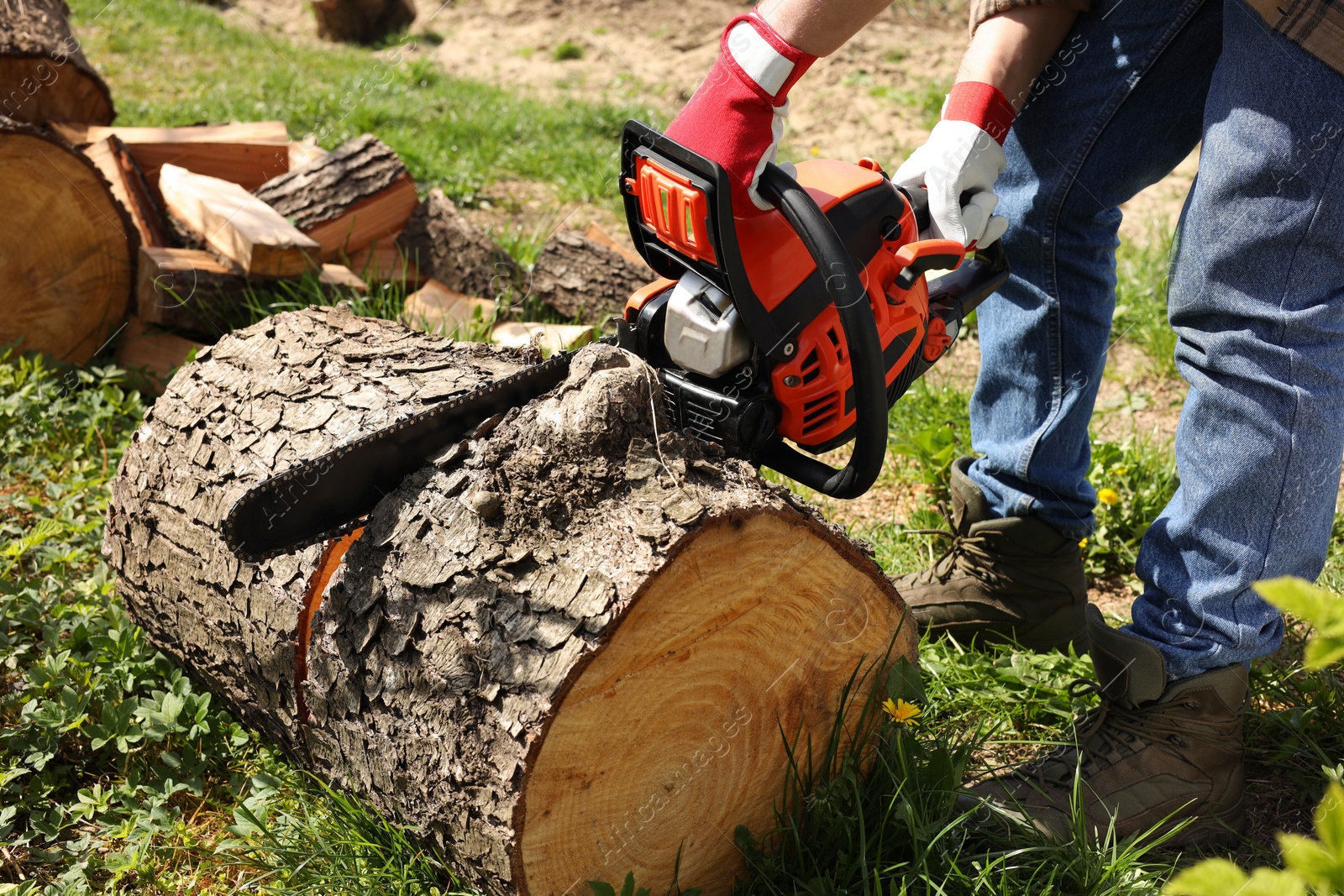 Photo of Man sawing wooden log on sunny day, closeup