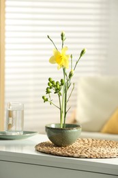 Stylish ikebana with beautiful yellow narcissus flower carrying cozy atmosphere at home