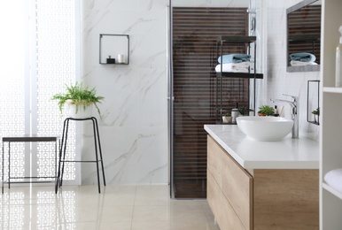 Photo of Bathroom interior with shower stall, houseplant and counter. Idea for design