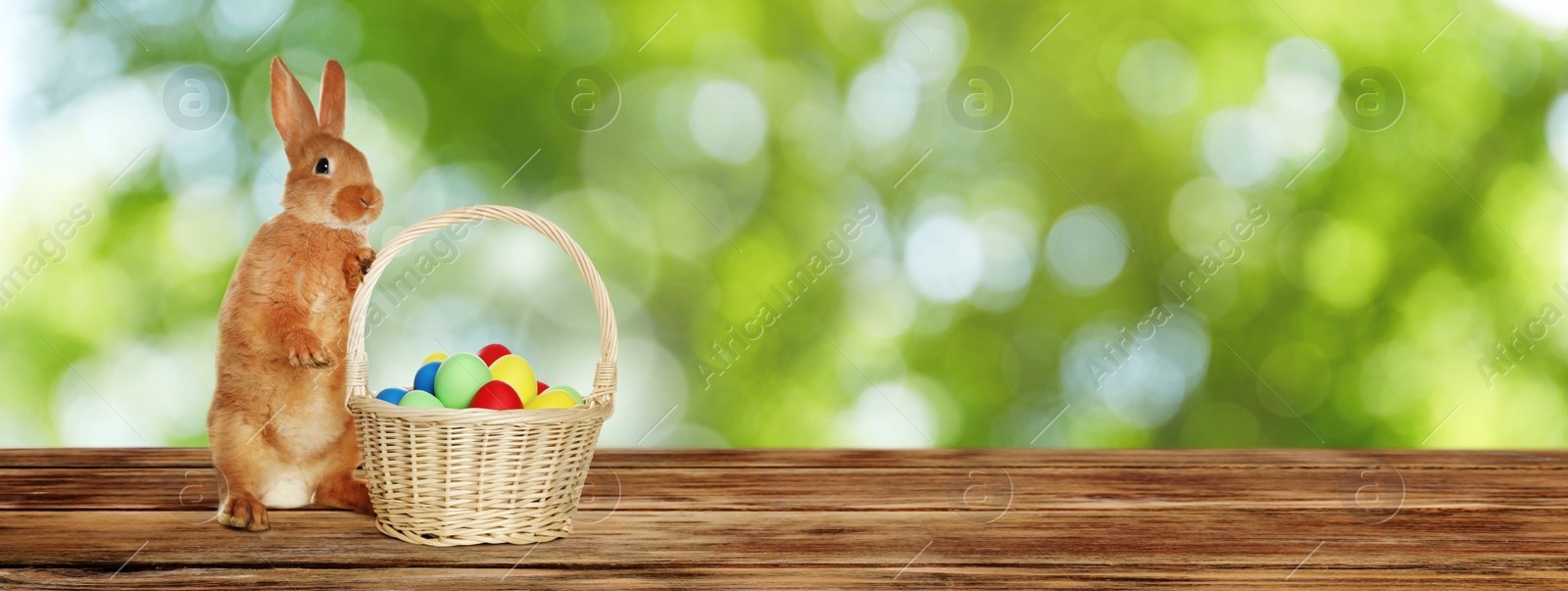 Image of Adorable bunny and wicker basket with Easter eggs on wooden surface outdoors, space for text. Banner design