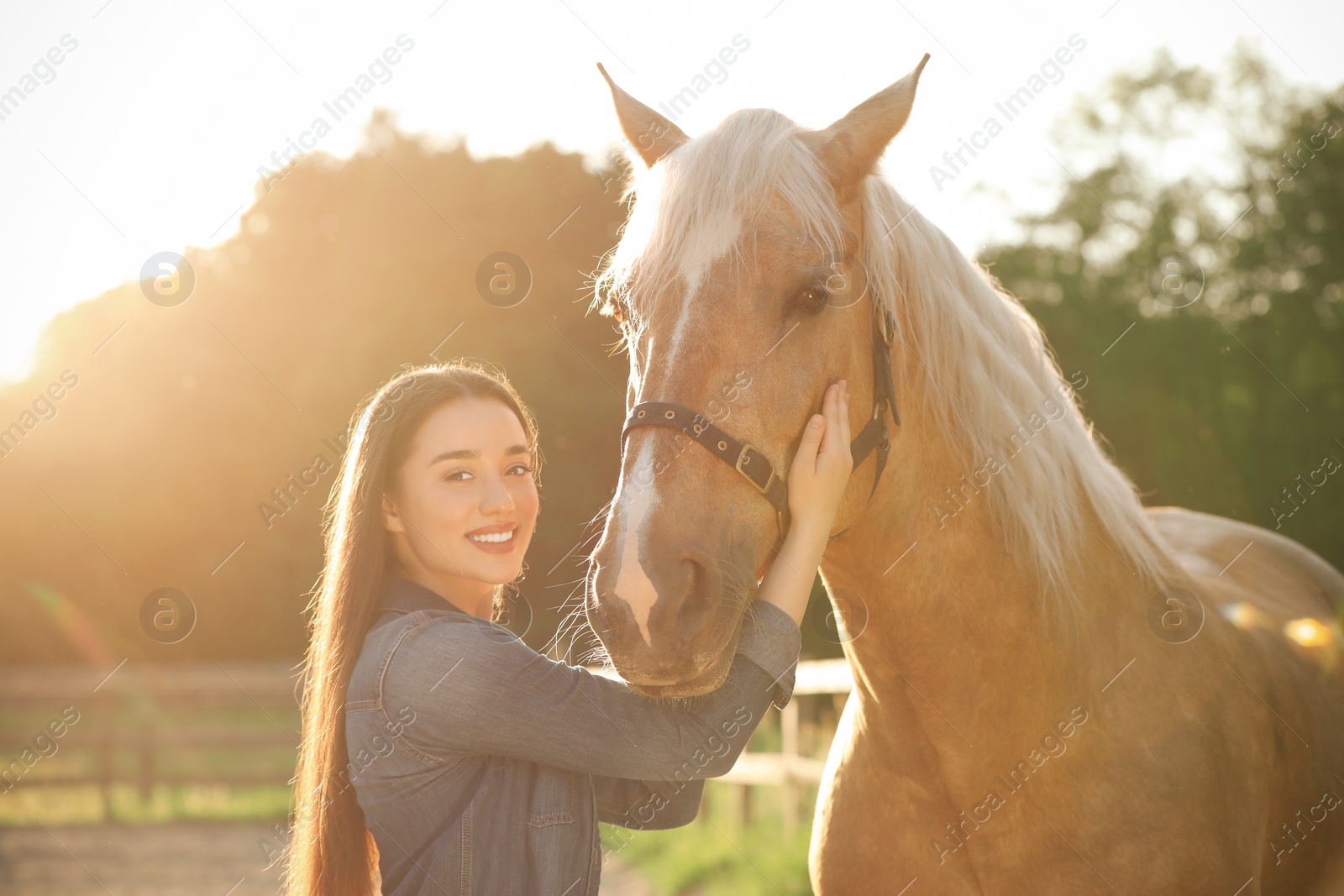 Photo of Beautiful woman with adorable horse outdoors on sunny day. Lovely domesticated pet