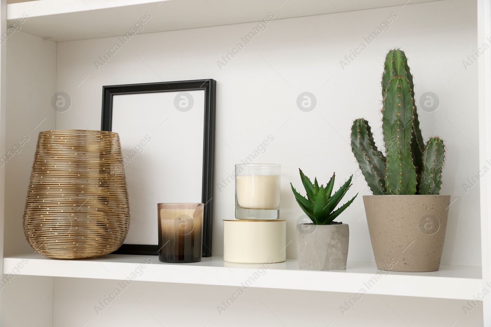 Photo of Beautiful houseplants, scented candles, frame and vase on shelf