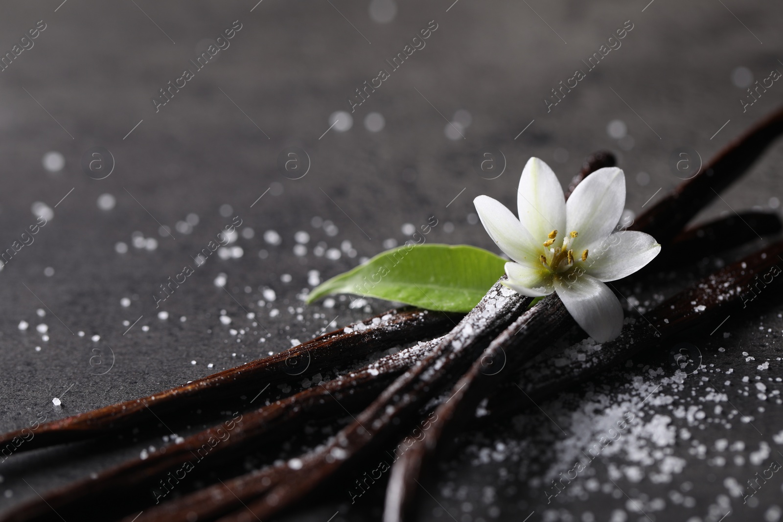 Photo of Vanilla pods, flower, leaf and sugar on grey textured table, closeup