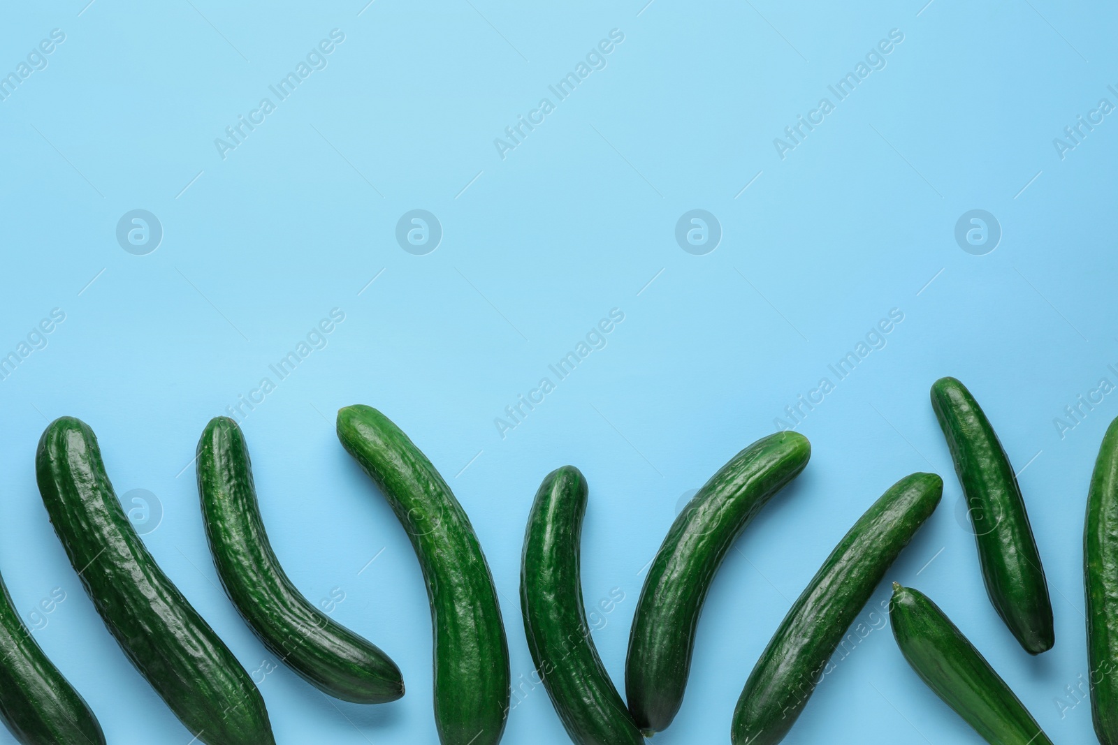 Photo of Fresh ripe cucumbers on light blue background, flat lay. Space for text