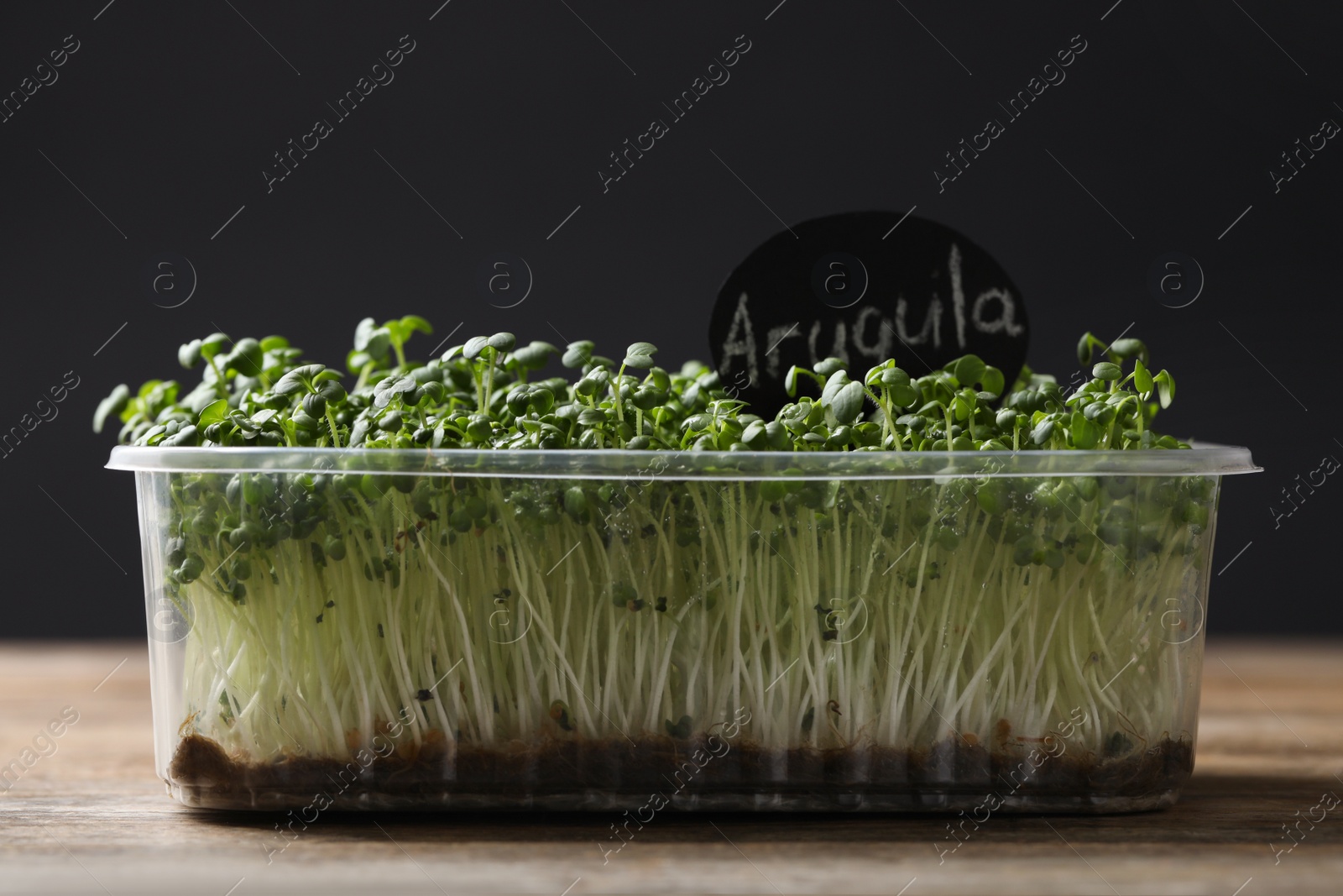 Photo of Sprouted arugula seeds in plastic container on wooden table