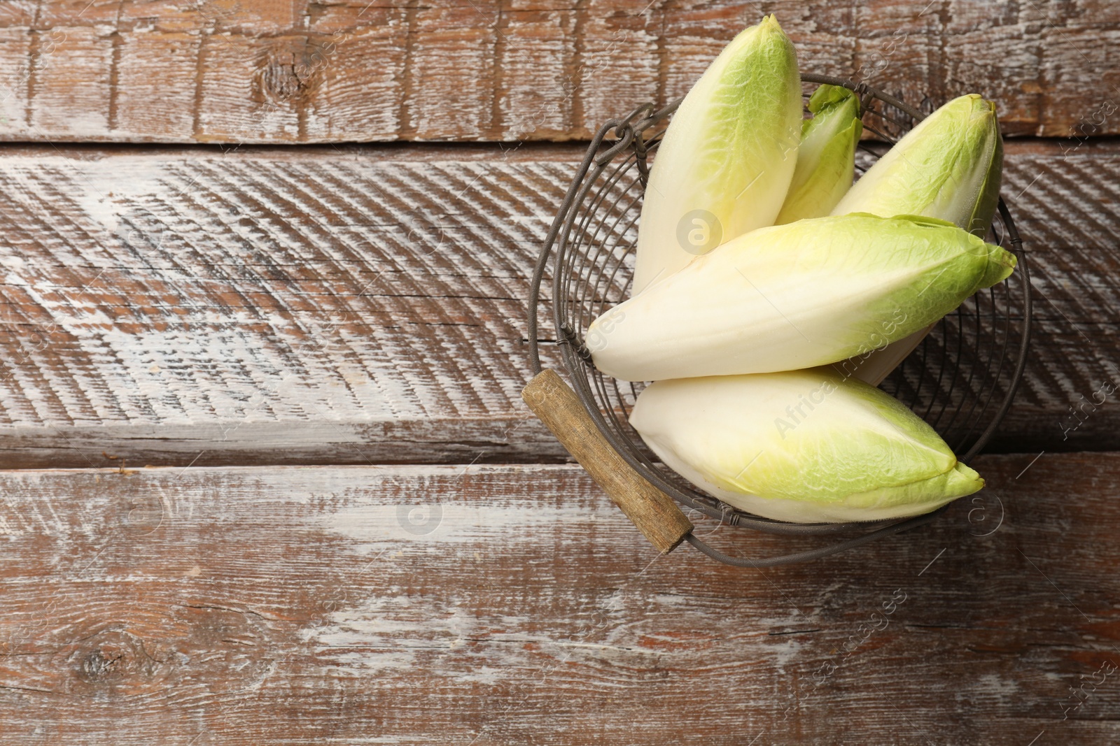 Photo of Fresh raw Belgian endives (chicory) in metal basket on wooden table, top view. Space for text