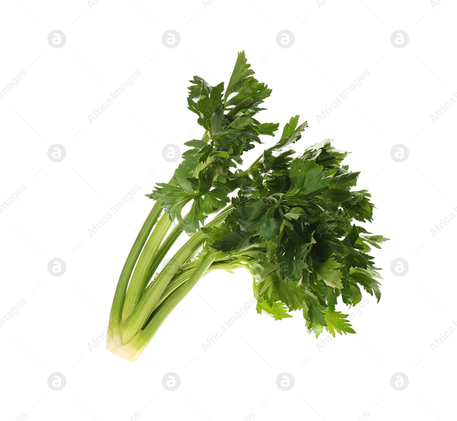 Photo of Fresh green celery bunch isolated on white