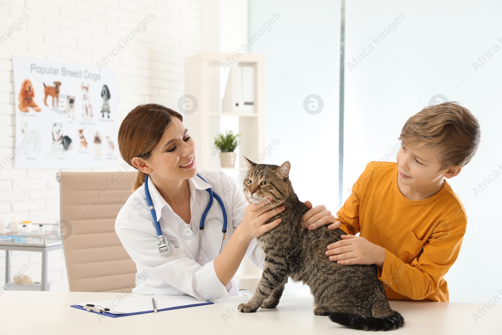 Photo of Boy with his cat visiting veterinarian in clinic