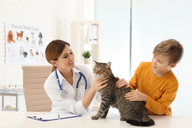 Photo of Boy with his cat visiting veterinarian in clinic