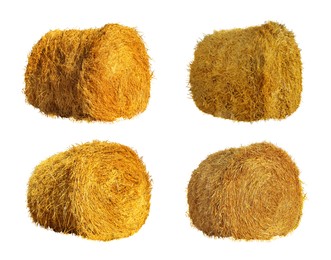 Image of Set with dried straw bales on white background