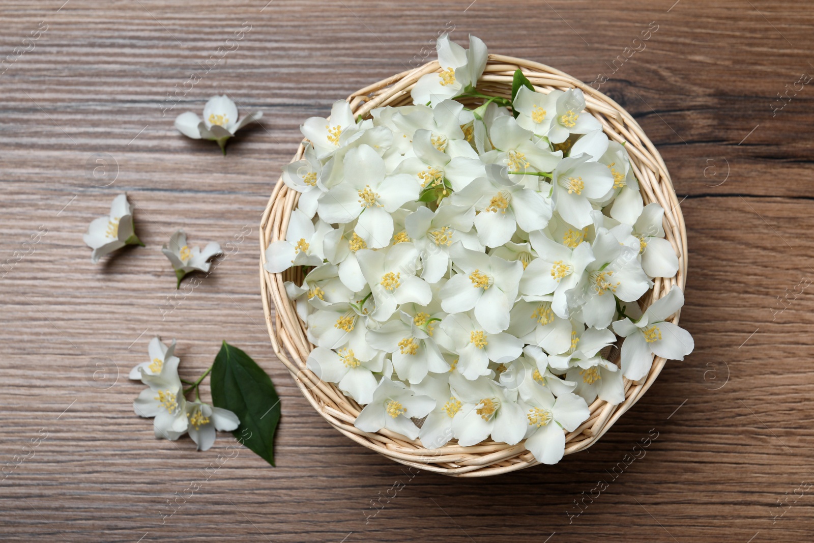 Photo of Wicker bowl with beautiful jasmine flowers on wooden table, flat lay
