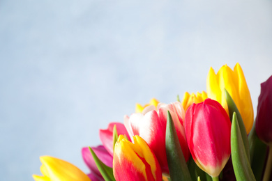 Photo of Beautiful spring tulips on light blue background, closeup. Space for text