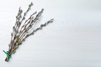 Photo of Beautiful bouquet of pussy willow branches on white wooden background, top view. Space for text