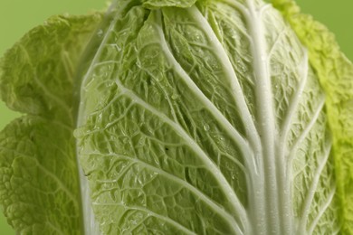 Photo of Closeup view of fresh ripe Chinese cabbage