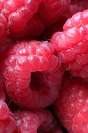 Many fresh ripe raspberries as background, closeup