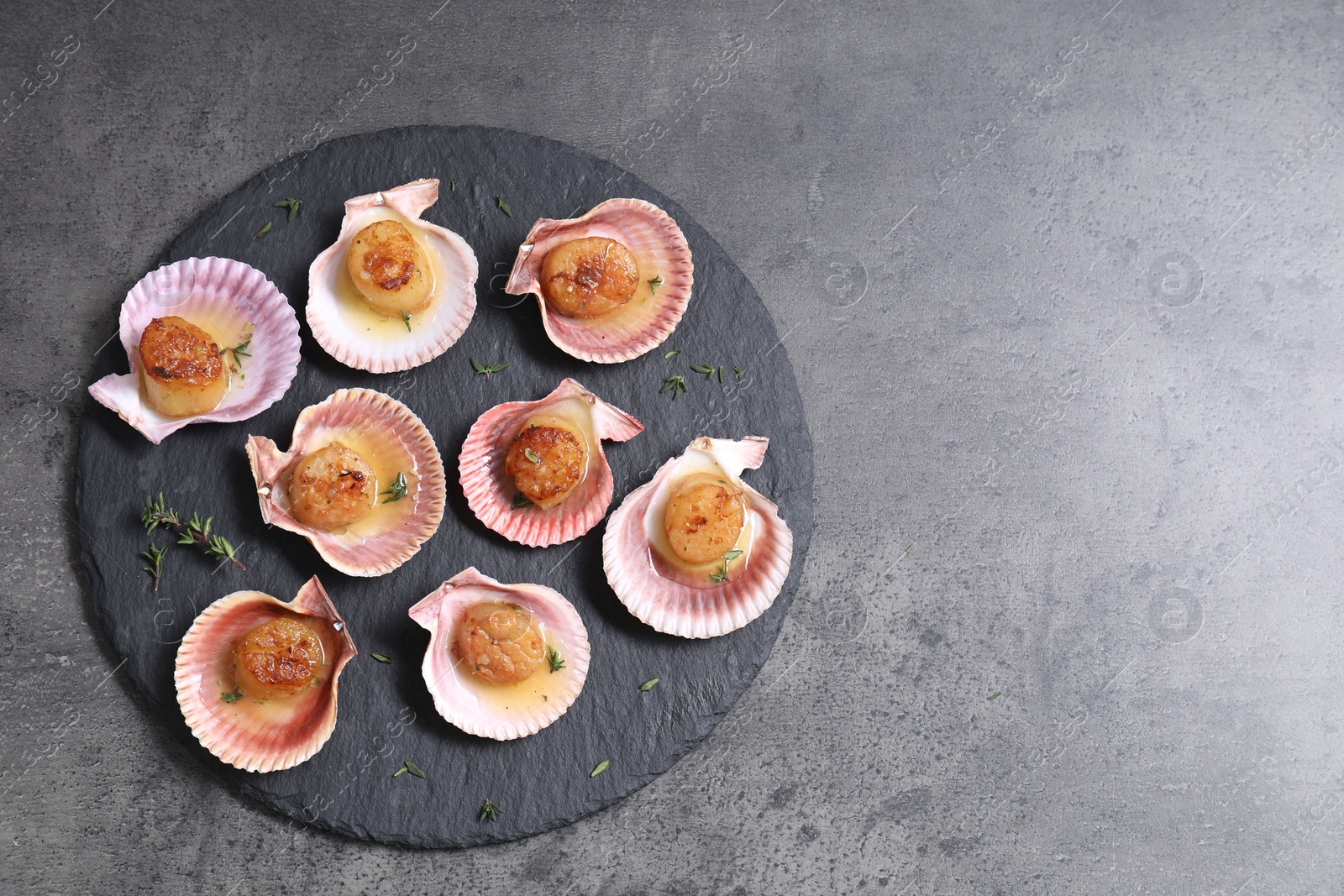 Photo of Delicious fried scallops in shells on grey table, top view. Space for text