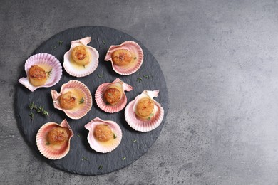 Delicious fried scallops in shells on grey table, top view. Space for text