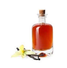 Photo of Vanilla extract, flower and dry pods isolated on white