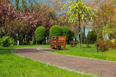 Photo of Picturesque view of beautiful park with fresh green grass and trees