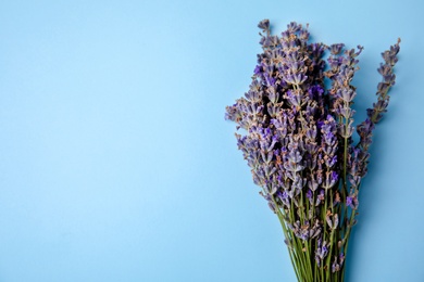 Lavender flowers on color background, top view