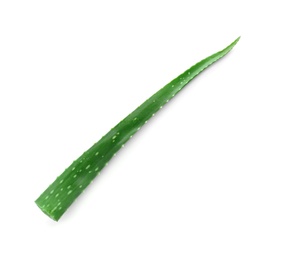 Leaf of aloe vera on white background