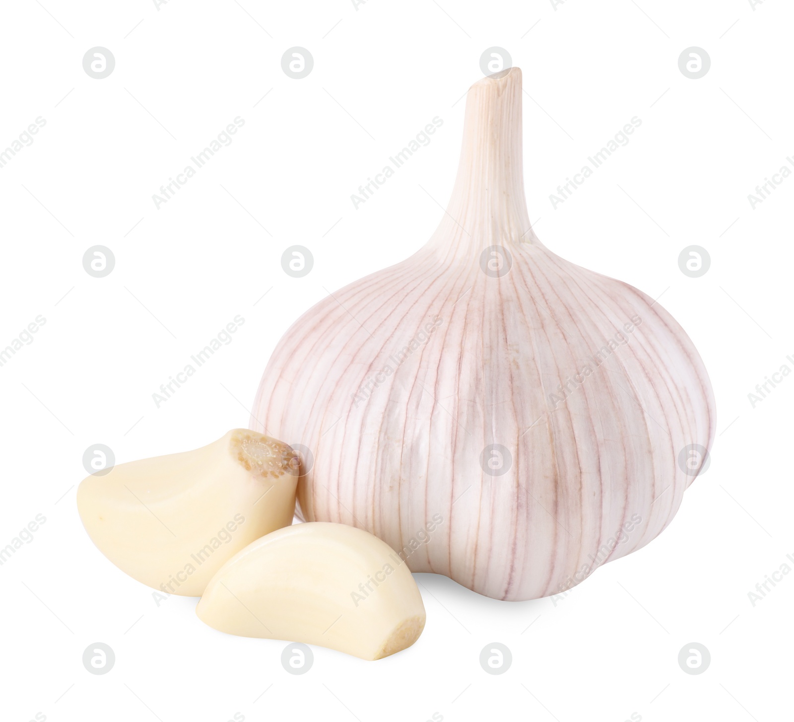 Photo of Head of fresh garlic and cloves isolated on white