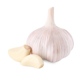 Head of fresh garlic and cloves isolated on white