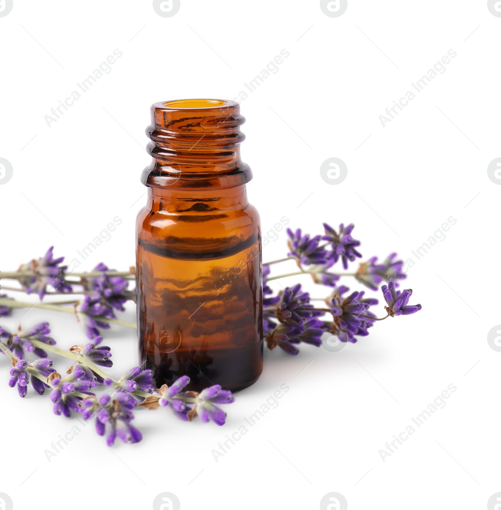 Photo of Bottle of essential oil and lavender flowers on white background