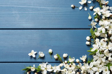 Photo of Blossoming spring tree branches as border on blue wooden background, flat lay. Space for text