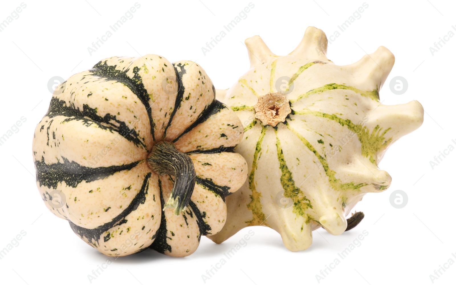 Photo of Two fresh ripe pumpkins isolated on white