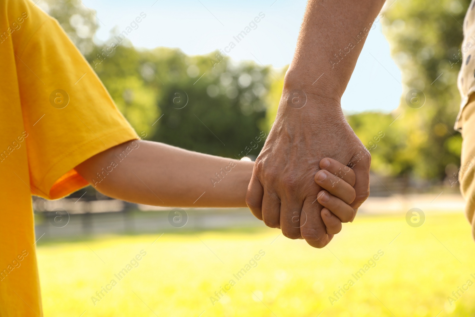 Photo of Mature woman with her little grandson in park, closeup