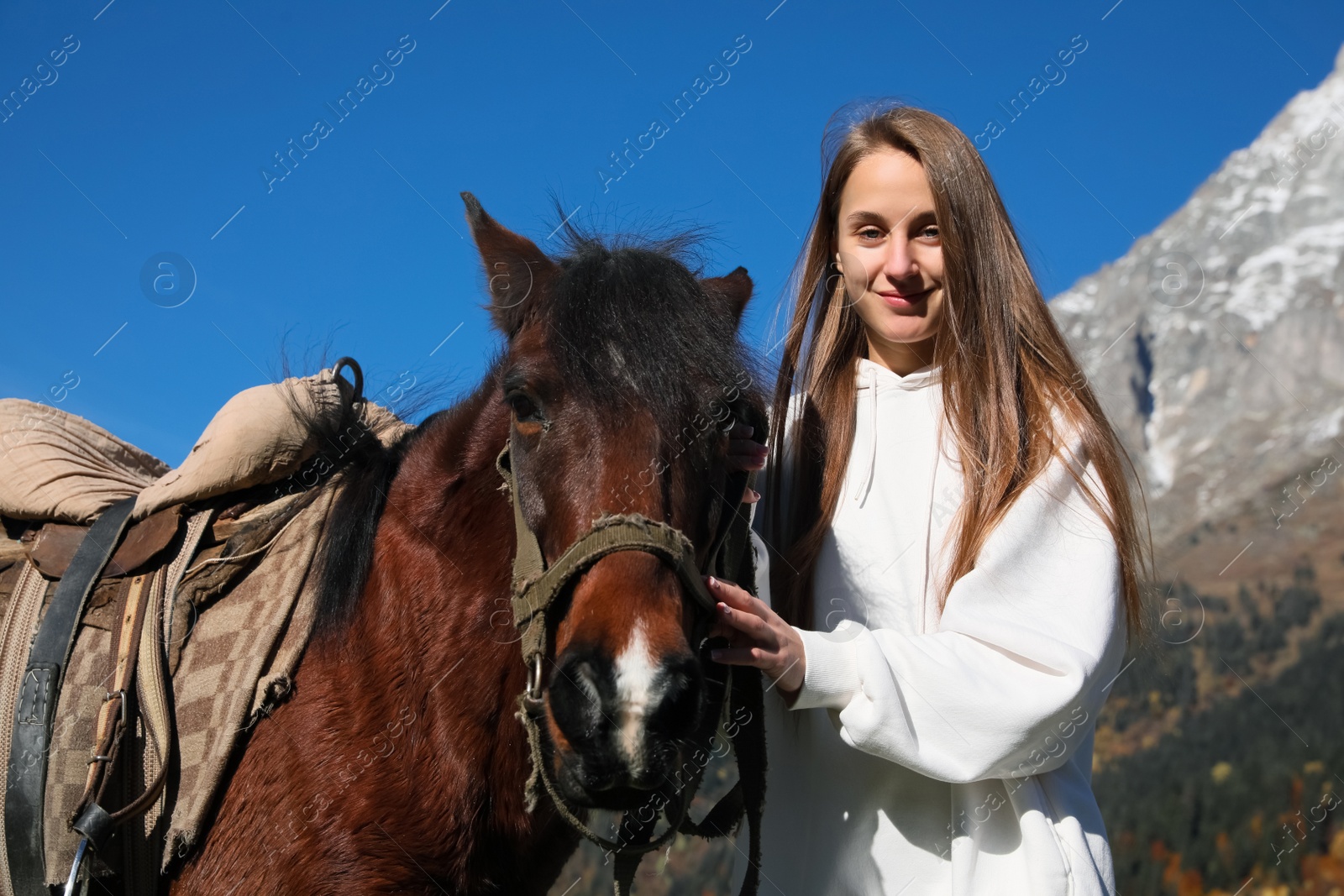 Photo of Young woman stroking horse in mountains on sunny day. Beautiful pet