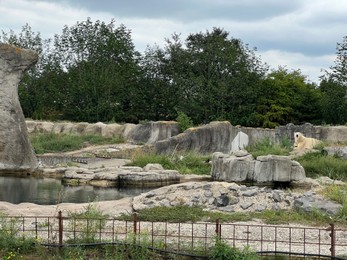 Photo of Rotterdam, Netherlands - August 27, 2022: Picturesque view of polar bear enclosure in zoo