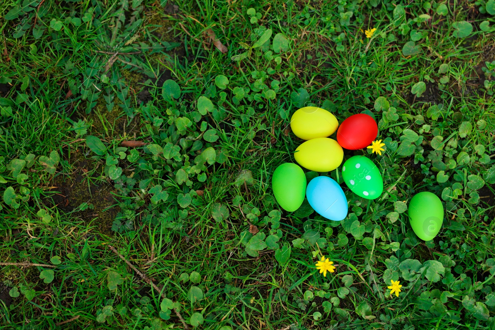 Photo of Easter celebration. Painted eggs on green grass, top view. Space for text
