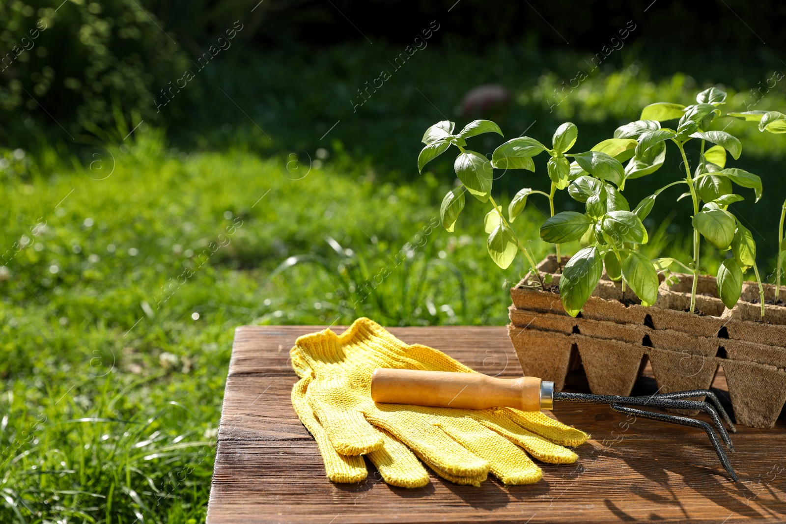 Photo of Beautiful seedlings in containers, gloves and rake on wooden table outdoors. Space for text