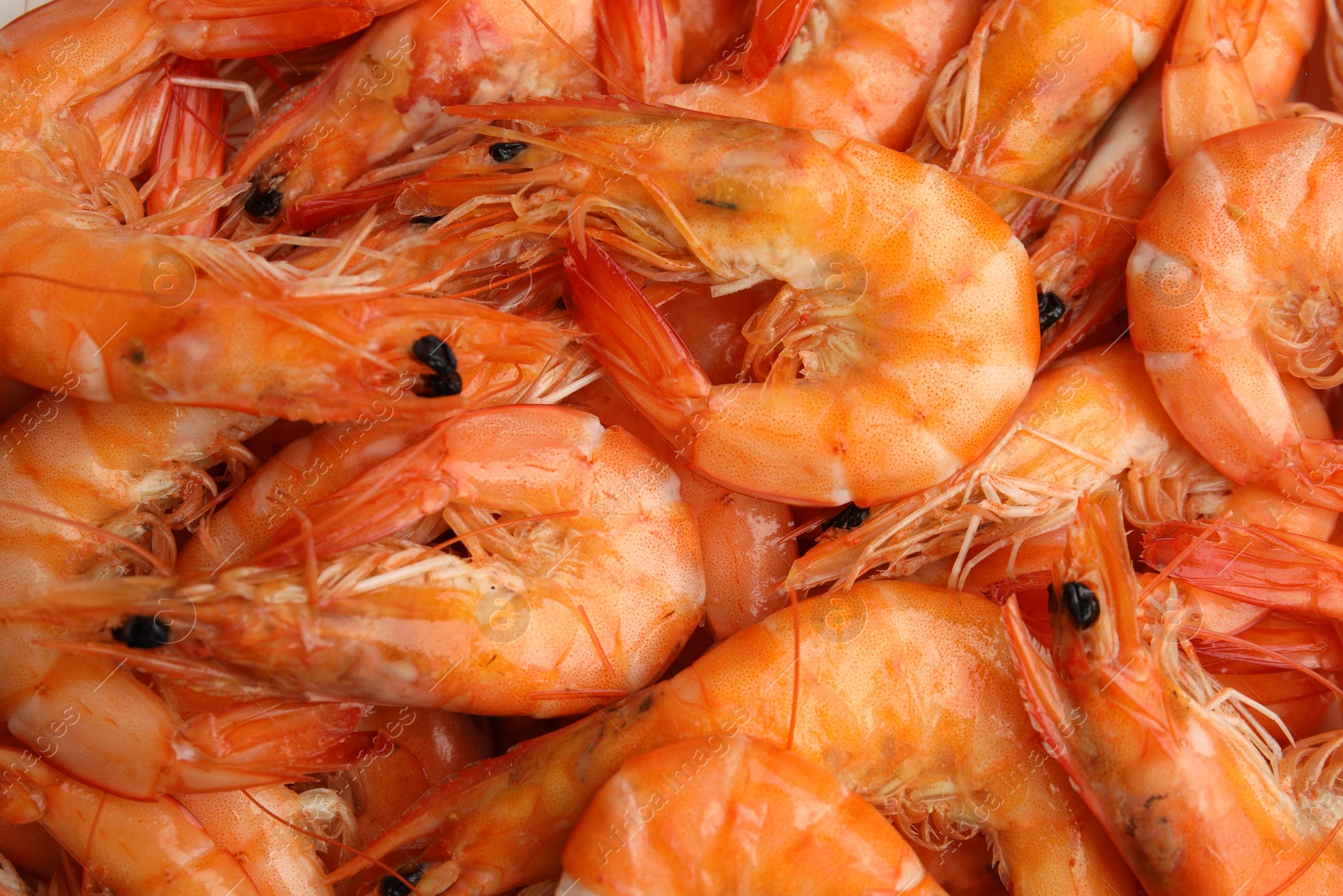 Photo of Pile of delicious cooked shrimps as background, closeup