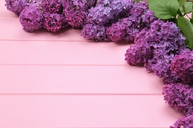 Photo of Beautiful lilac flowers on pink wooden background, space for text