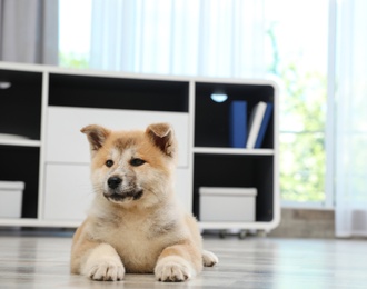 Photo of Adorable Akita Inu puppy on floor at home, space for text